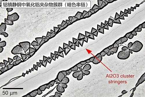 Micrograph showing alumina inclusion clusters in aluminum-killed steel