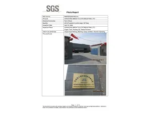 SGS International Inspection Report